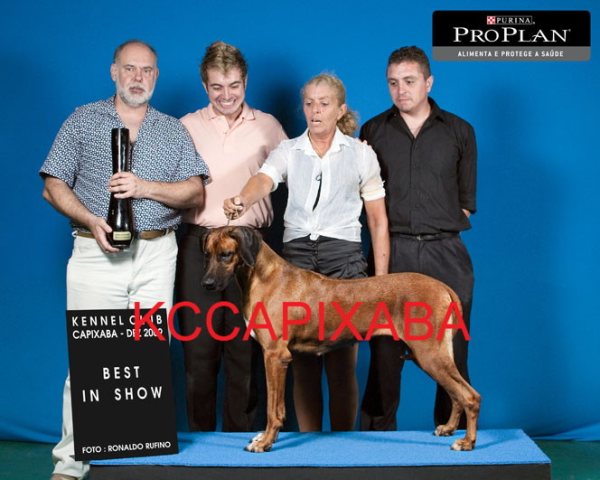 Clique sobre a foto para fechar